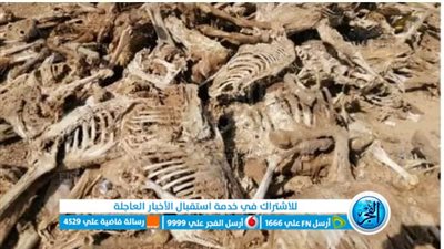 هياكل لحمير مذبوحة ومسلوخة تثير رعب أهالي الفيوم.. وتحركات سريعة من المحافظة (فيديو وصور)