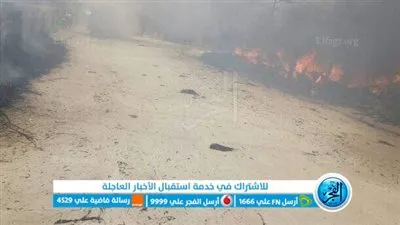 حريق هائل بسبب قش الأرز يلتهم سيارتين وحظيرة مواش في الإسماعيلية