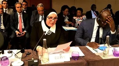  نيفين جامع: حريصون على تعزيز الجهود المشتركة لدول القارة الإفريقية