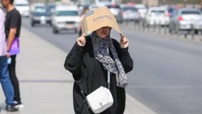 هاني الناظر يقدم روشتة لمواجهة ارتفاع درجات الحرارة