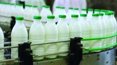 خبير يطرح حلولا لمواجهة تحديات صناعة الألبان في مصر (فيديو)