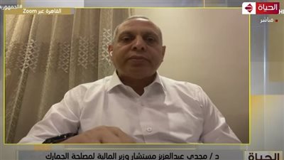 مستشار وزير المالية يكشف تفاصيل تعديل التعريفة الجمركية لتحفيز الصناعة والاستثمار (فيديو)