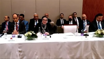  نيفين جامع: مصر تدعو إلى وضع أجندة تجارية عربية طموحة 