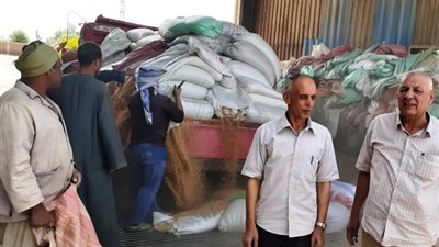 محافظ سوهاج: توريد أكثر من 94 ألف طن قمح حتى الآن 