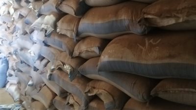 بسبب سوء التخزين.. ضبط 3 طن سمسم و1620 لتر خل بالمحلة الكبرى (صور)