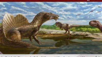باحث بجامعة أوهايو الأمريكية: عائلة الديناصور هابيل ظهرت منذ 170 مليون سنة(فيديو)