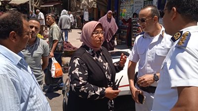 التحفظ على 6 آلاف و756 حالة إشغال طريق بالإسكندرية 