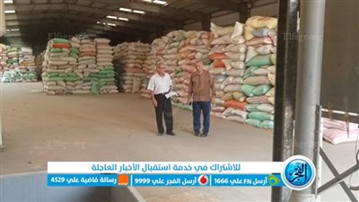 توريد 379 ألف طن من الذهب الأصفر لشون وصوامع البحيرة (صور)