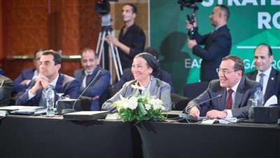 وزيرة البيئة تشارك في المائدة المستديرة حول القيادة الاستراتيجية للطاقة