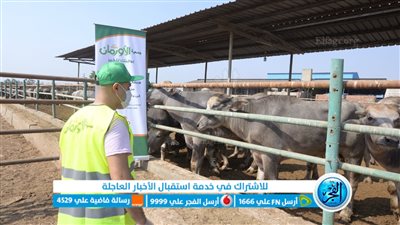 استعدادات مكثفة لجمعية الأورمان استقبالا لعيد الأضحى بمحافظات الجمهورية