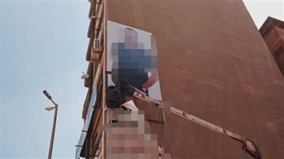 حملات مكثفة لإزالة الإعلانات المخالفة في الدقهلية