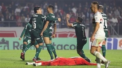 بالميراس ينفرد بصدارة الدوري البرازيلي إثر فوز مثير على ساو باولو