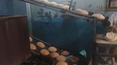 حملات تموينية بالدقهلية تحيل 65 محضرا للنيابة العامة 