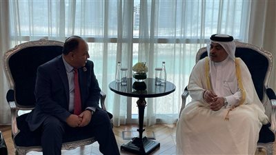 وزير المالية: مصر أصبحت أرضًا خصبة جاذبة ومحفزة للاستثمارات فى مختلف المجالات