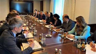 وزيرة الصناعة تستعرض محفزات صناعة السيارات في مصر أمام الشركات الالمانية