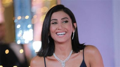 دينا الشربيني تفجر مفاجآت جديدة.. تعرف على التفاصيل !