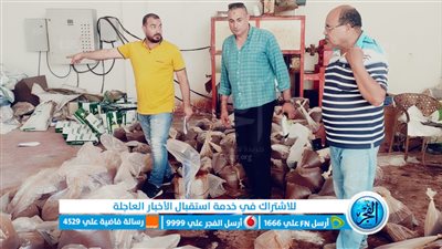 ضبط 13 طن مبيدات ومخصبات زراعية غير مرخصة بوادي النطرون (صور)