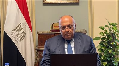  وزير الخارجية: نتطلع لمواصلة خطط تطوير منظومة العمل المؤسسي بالوزارة 