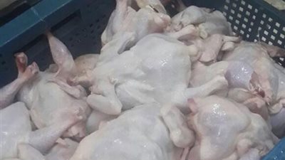 ضبط طن لحوم ودجاج فاسد بحملة تفتيشية بالشرقية