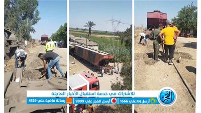 جهود مكثفة لتسيير قطار بضائع بعد انقلابه في البحيرة (صور)