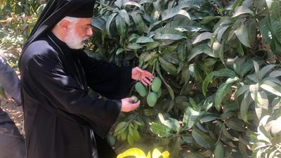 نيافة الأنبا باسيليوس يتفقد مزرعة البركة بقرية شوشة