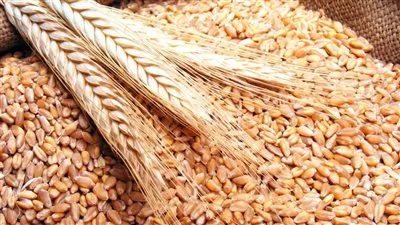 تعرف على المخزون الاستراتيجي من السلع الغذائية الأساسية