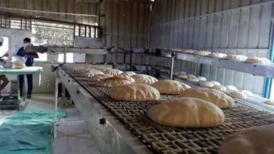 شعبة المخابز تكشف تفاصيل إضافة البطاطا على الخبز 