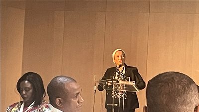 وزيرة البيئة تعرض تحضيرات مؤتمر المناخ للوصول لموقف أفريقي موحد