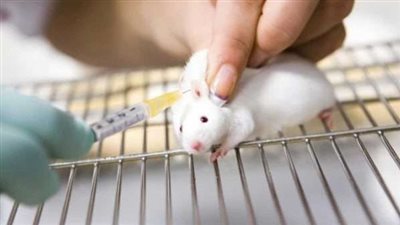 أول تعليق لـ معيد كلية الطب البيطري والمتهم بقتل 60 فأر تجارب
