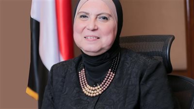  وزيرة التجارة والصناعة تصدر قرارًا بتحديد نسب الرصاص في منتجات الدهانات