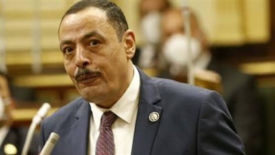 أول تحرك برلماني لمواجهة قضايا الانتحار في مصر 