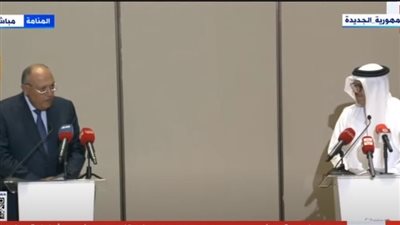 وزير الخارجية: المباحثات مع البحرين تضمنت تعزيز العلاقات الثنائية 
