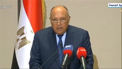 شكري: زيارة البحرين أكدت عمق العلاقات التاريخية الراسخة التي تجمع البلدين