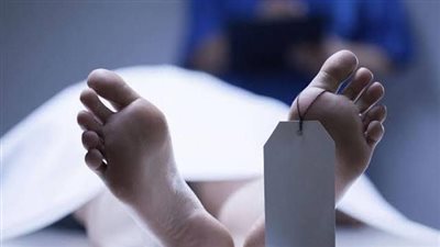 شقيق ضحية الدقهلية يكشف تفاصيل ذبح زوج أخته لها أمام أولادها الأربعة (فيديو)