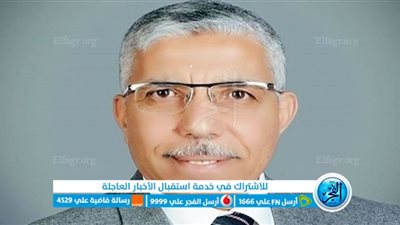 خبير: انحياز القوات المسلحة لإرادة الشعب حمته من ميليشيات الإرهاب الحاكمة والاقتتال الداخلي