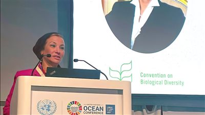 وزيرة البيئة تشارك في جلسة هدف التنمية المستدامة 14