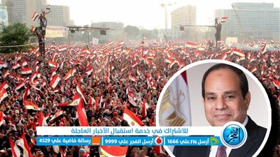 في ذكرى 30 يونيو.. برلمانيون وسياسيون: ثورة الشعب على الظلام والانتصار للهوية المصرية