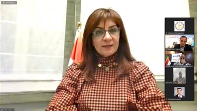وزيرة الهجرة: ثورة 30 يونيو منحت المصريين بالخارج حقوقهم في كل الاستحقاقات