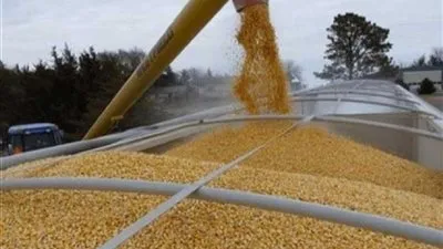 صادرات الحبوب الأوكرانية تتراجع بنسبة 43% خلال يونيو 