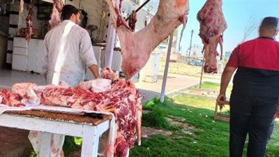 تزامنا مع عيد الأضحى... تكثيف الحملات التموينية على محال الجزارة وشودار بيع اللحوم بالشرقية