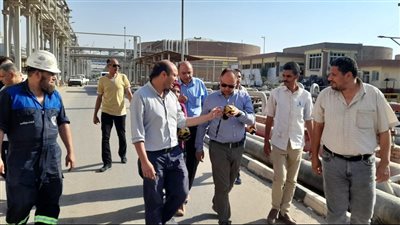 البيئة: نتابع نتائج بحث شكوى انبعاث روائح بترولية بالقاهرة
