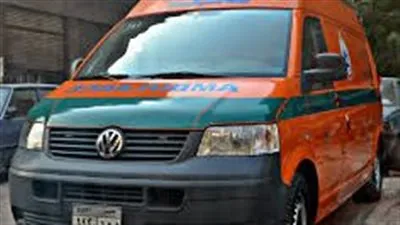 مصرع زوجين في حادث انقلاب سيارة بالغربية 