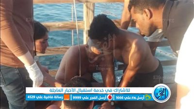 ننشر صورة من حادث تعرض سائحة لعضة قرش بالغردقة.. والبيئة تؤكد ما نشرته الفجر