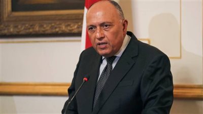 وزير الخارجية: مصر تستضيف 6 ملايين مهاجر ولا تستغلهم لتحقيق مصالح (فيديو)