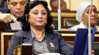 برلمانية: إنشاء صندوق 