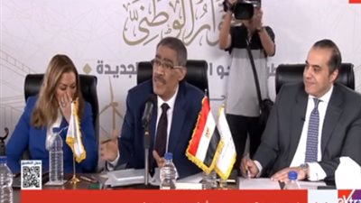 ضياء رشوان: سقف الحوار الوطني الالتزام بالدستور والقوانين المنظمة لحرية الرأي