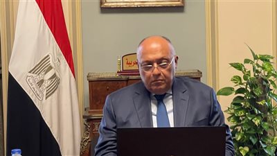 شكرى يبحث مع وزيرة خارجية المملكة المتحدة تعزيز العلاقات الثنائية 