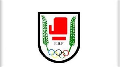 مركز التسوية والتحكيم يرفض دعوى بطلان انتخابات الملاكمة على منصب الرئيس