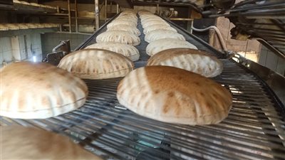 تحرير 56 محضرا لأصحاب المخابز والمحلات المخالفين في الدقهلية