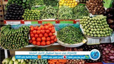 أسعار الخضروات والفاكهة اليوم الثلاثاء 2/8/2022 في محافظة الإسكندرية